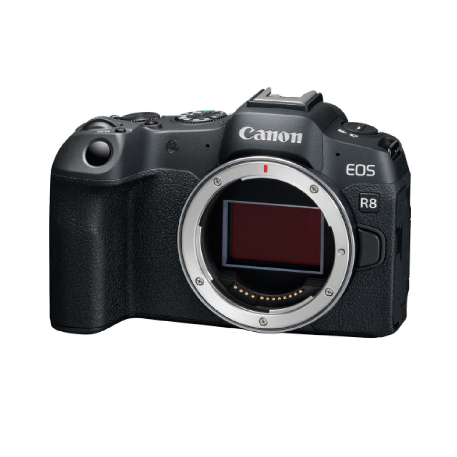 Canon EOS R8 Mirrorless Camera with RF 24-105mm f/4-7.1 IS STM Lens