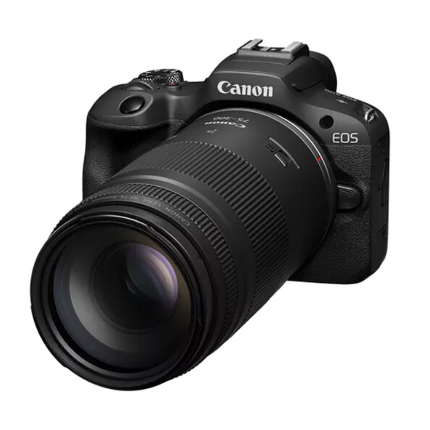 Canon RF 75-300mm f/4-5.6 Lens - Image 2